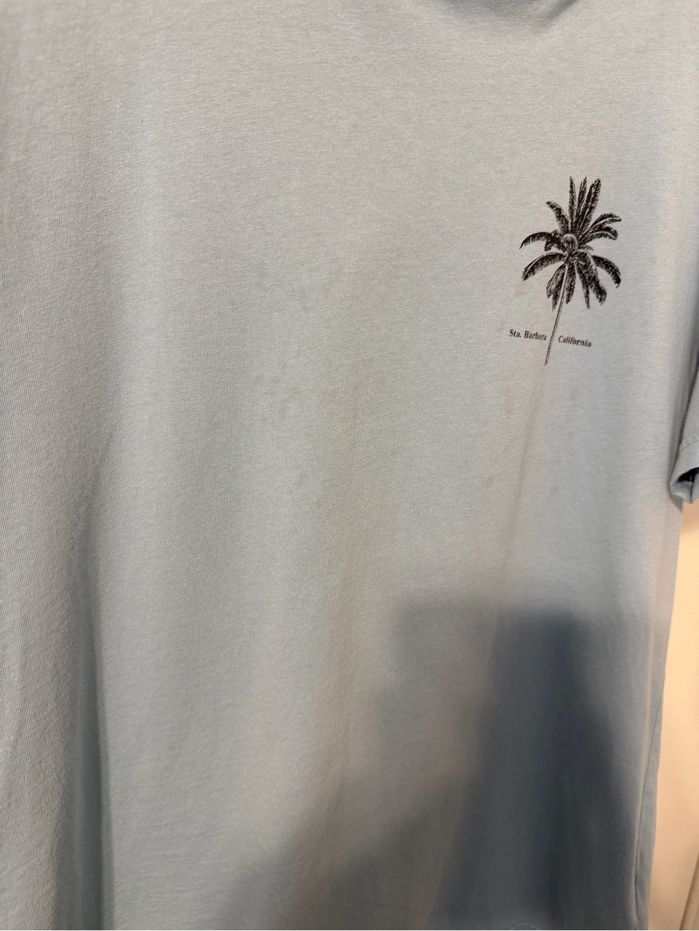 Denim & Flower Sky-Blue Palm Graphic Short Sleeve Tee - Picture 2 of 7